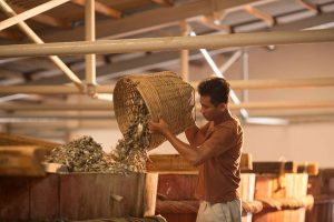 quy trình làm nước mắm tại nhà thùng nước mắm Phú Quốc