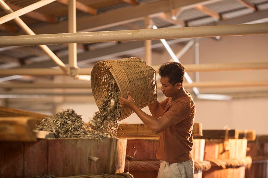 quy trình làm nước mắm tại nhà thùng nước mắm Phú Quốc